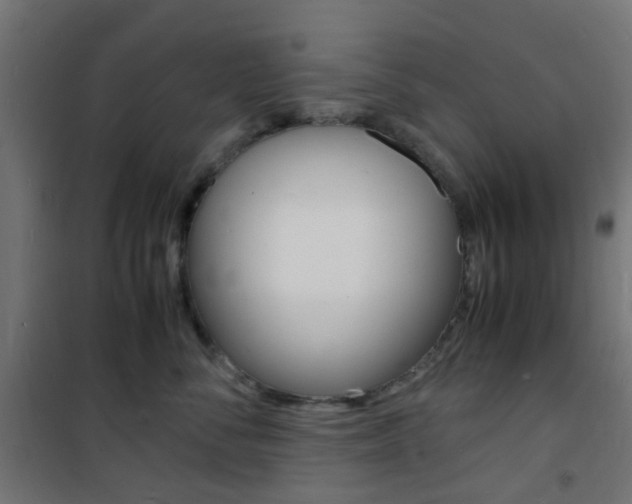 X0000101480716200807071243