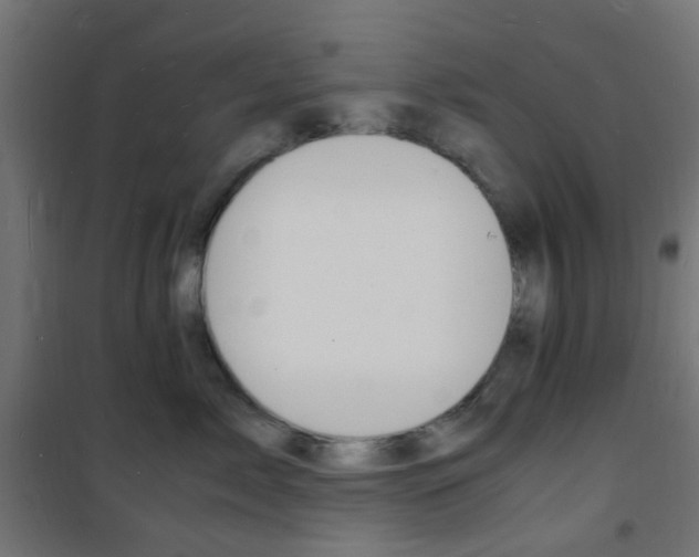 X0000101480717200807071243