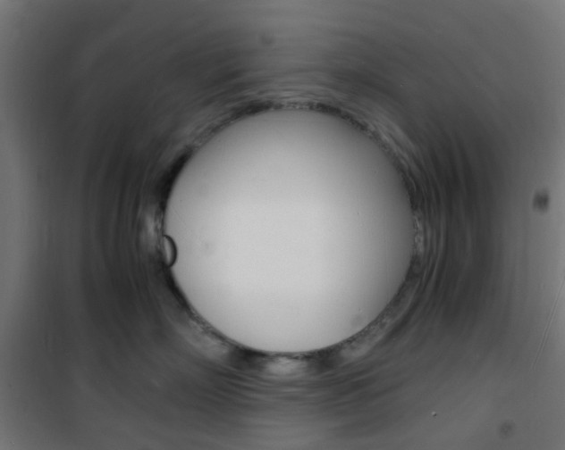 X0000101480718200807071243