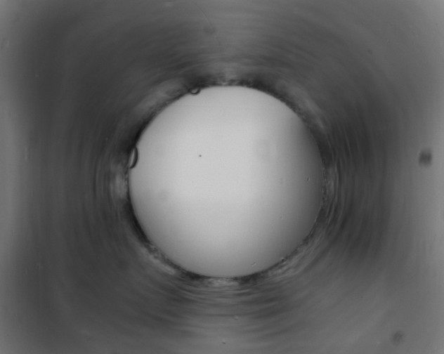 X0000101480719200807071243