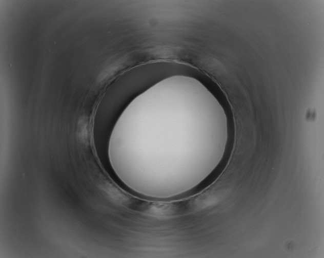 X0000101480720200807071243