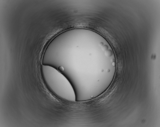 X0000101480721200807071242