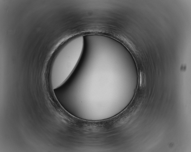 X0000101480723200807071242
