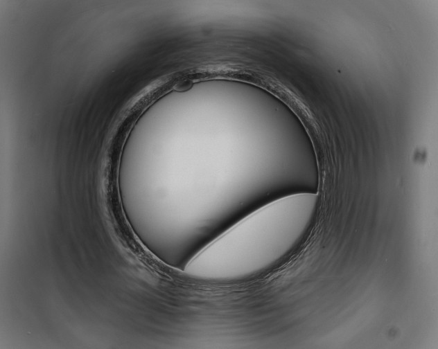 X0000101480724200807071242