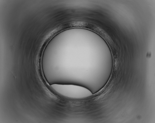 X0000101480725200807071242
