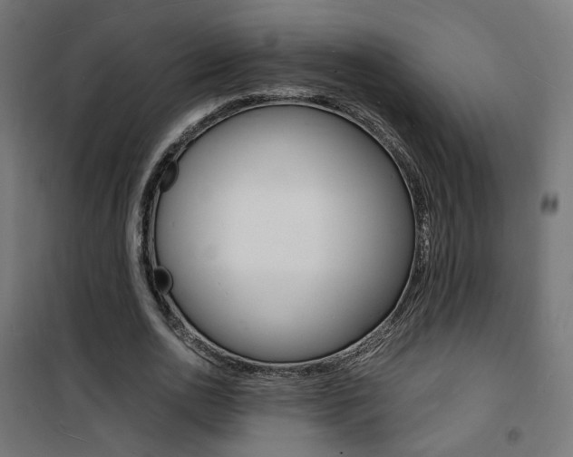 X0000101480726200807071242