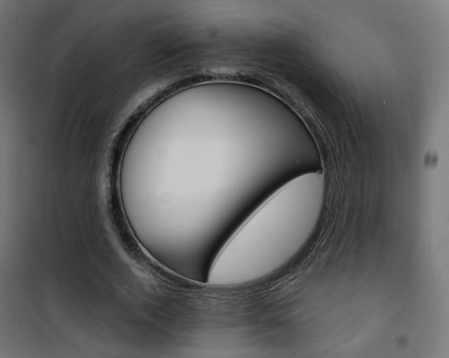 X0000101480728200807071242