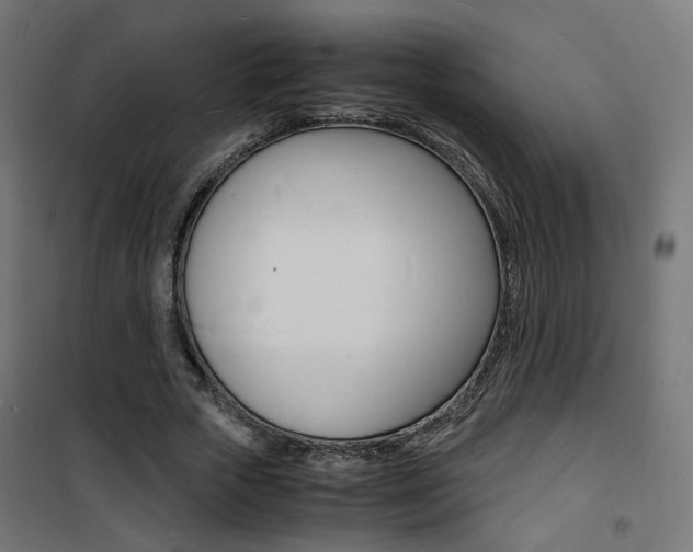 X0000101480729200807071242