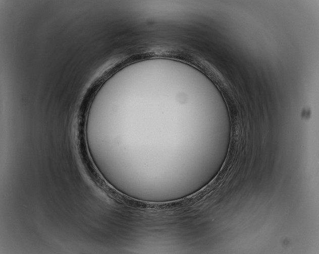 X0000101480730200807071242