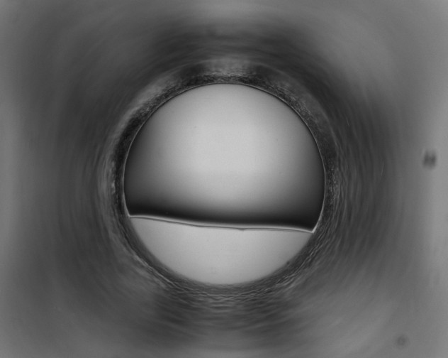 X0000101480731200807071242