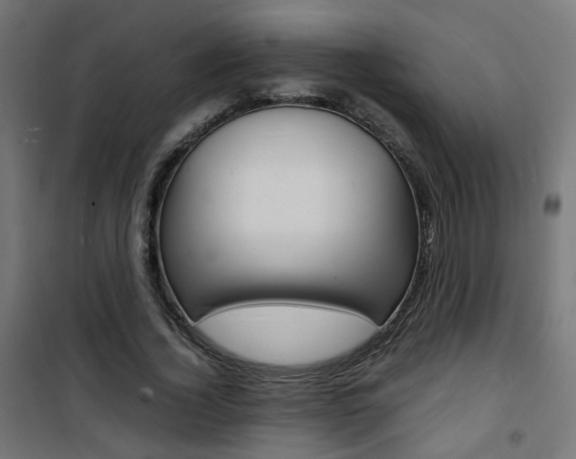 X0000101480732200807071242