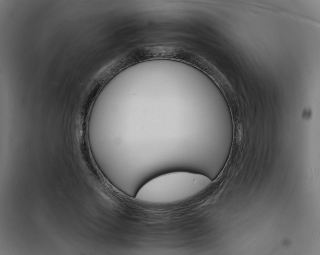 X0000101480733200807071242