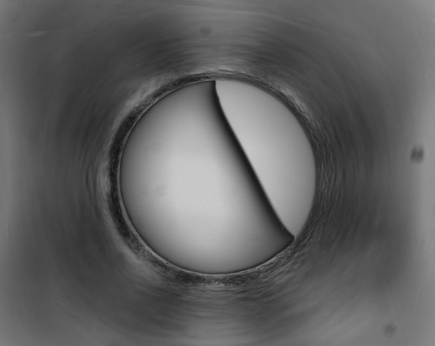 X0000101480734200807071242