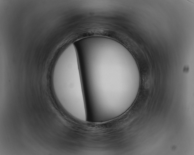 X0000101480735200807071242