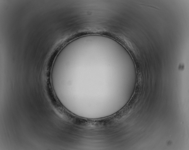 X0000101480736200807071242