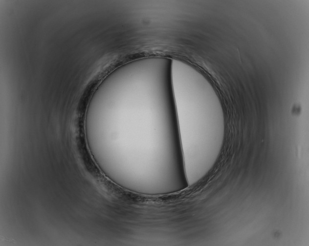 X0000101480738200807071242