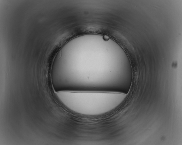 X0000101480739200807071242