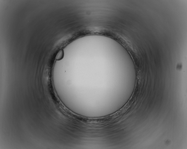 X0000101480740200807071242
