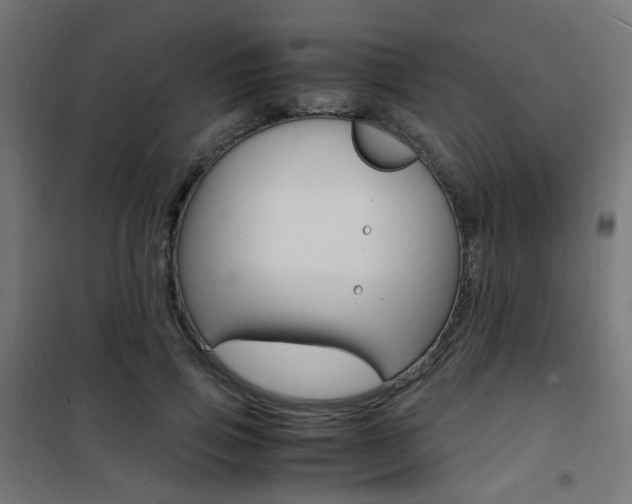 X0000101480741200807071242