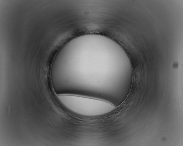 X0000101480742200807071242