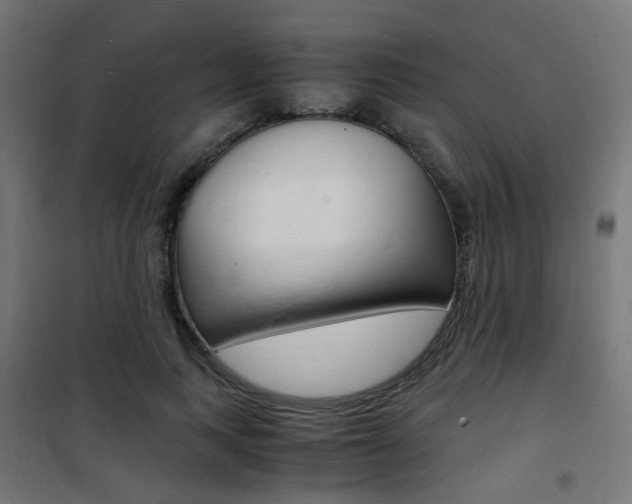 X0000101480743200807071242