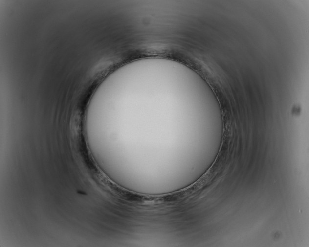 X0000101480744200807071242