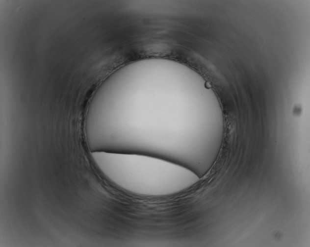 X0000101480745200807071242