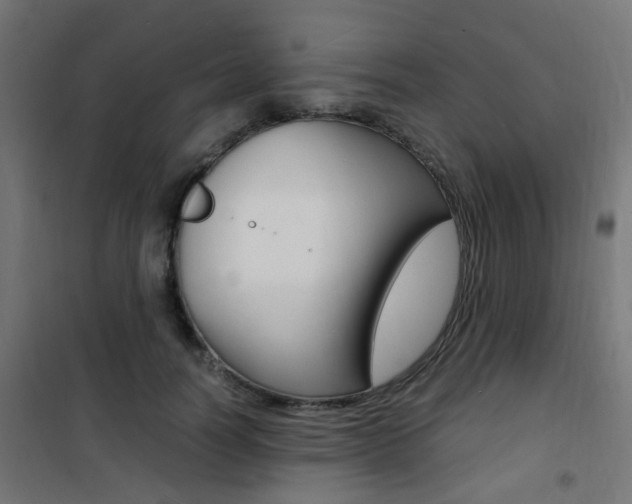 X0000101480746200807071242