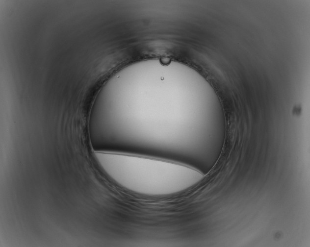 X0000101480747200807071242