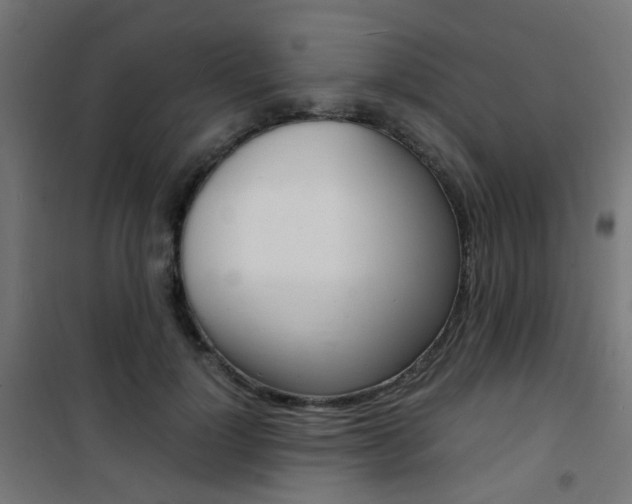 X0000101480748200807071242