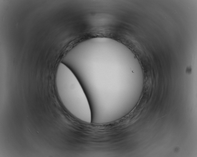 X0000101480749200807071243