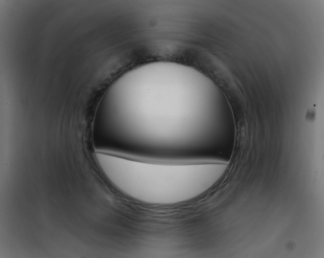 X0000101480750200807071243