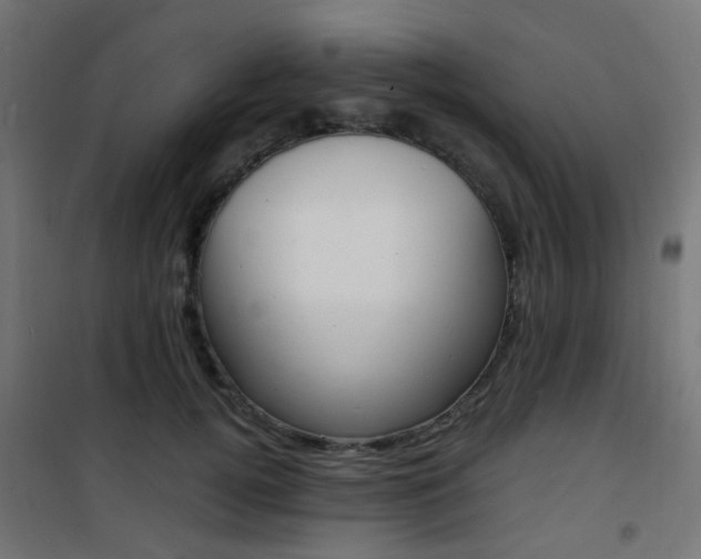 X0000101480752200807071243