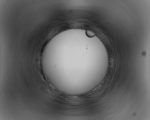X0000101480753200807071243