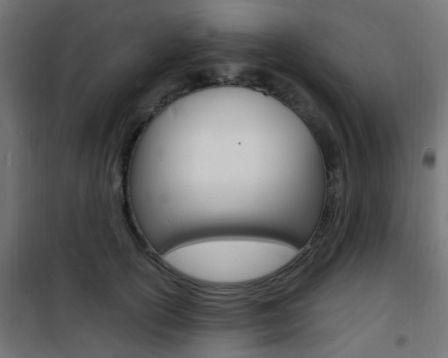 X0000101480754200807071243