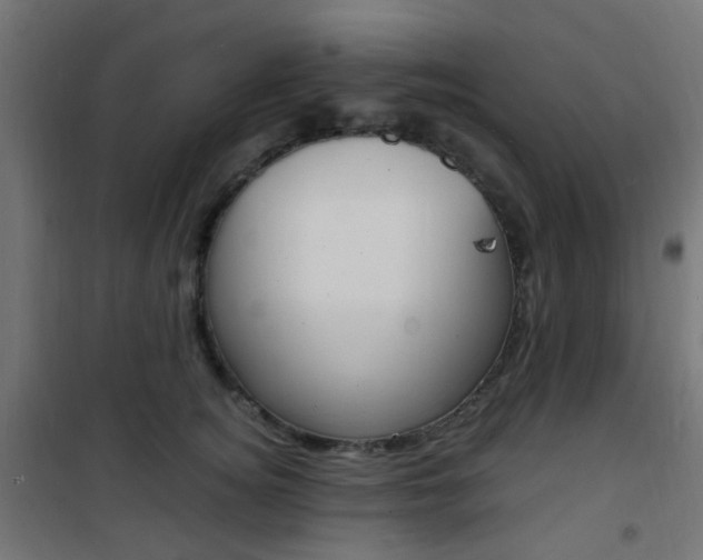 X0000101480756200807071243