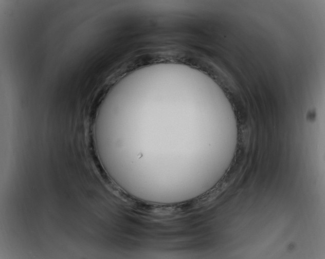 X0000101480757200807071243