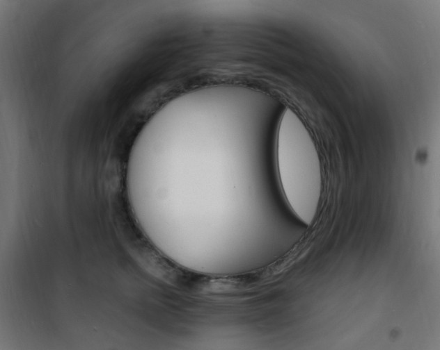 X0000101480758200807071243