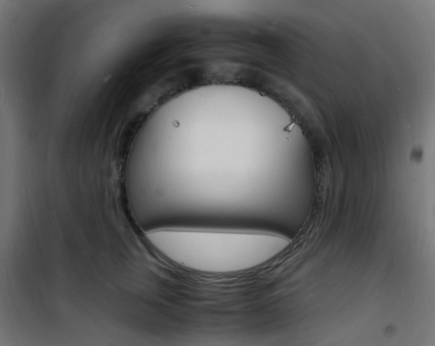 X0000101480759200807071243