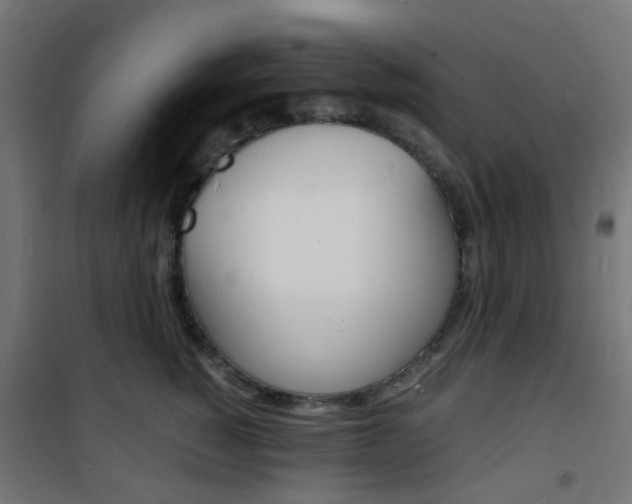 X0000101480760200807071243