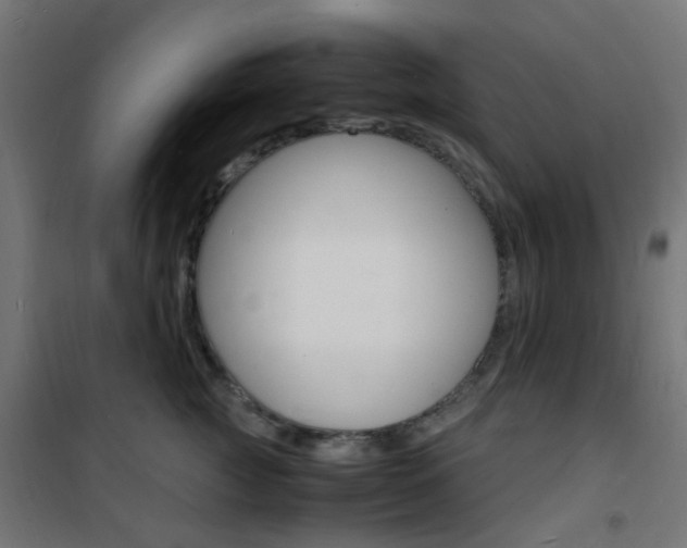 X0000101480761200807071243