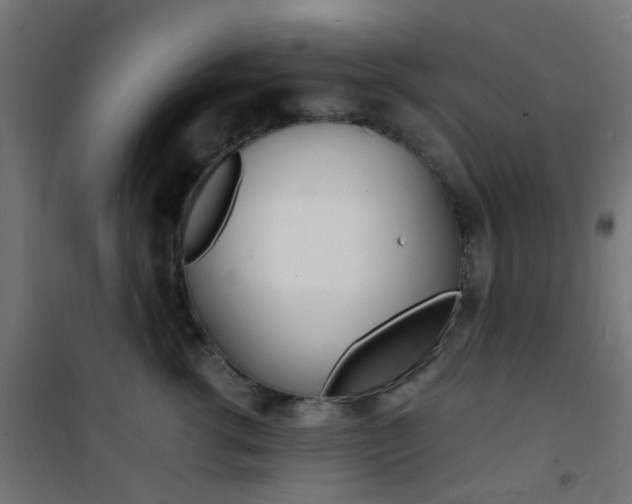 X0000101480762200807071243
