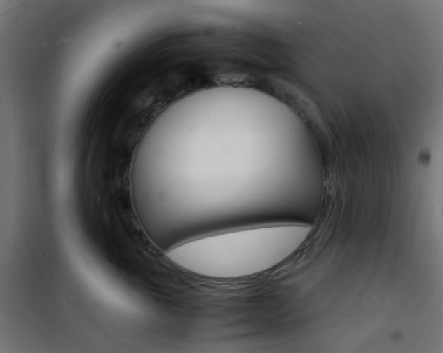 X0000101480763200807071243