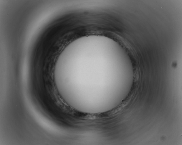 X0000101480764200807071243