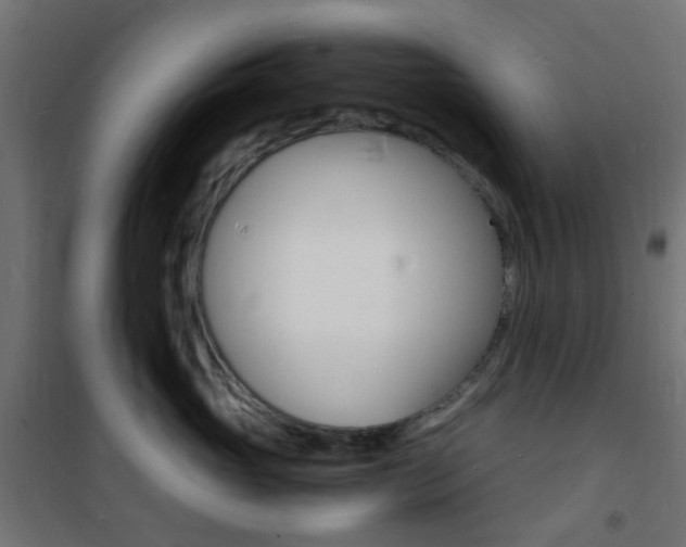 X0000101480765200807071243