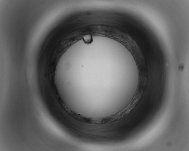 X0000101480766200807071243