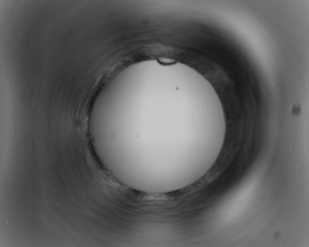 X0000101480767200807071243