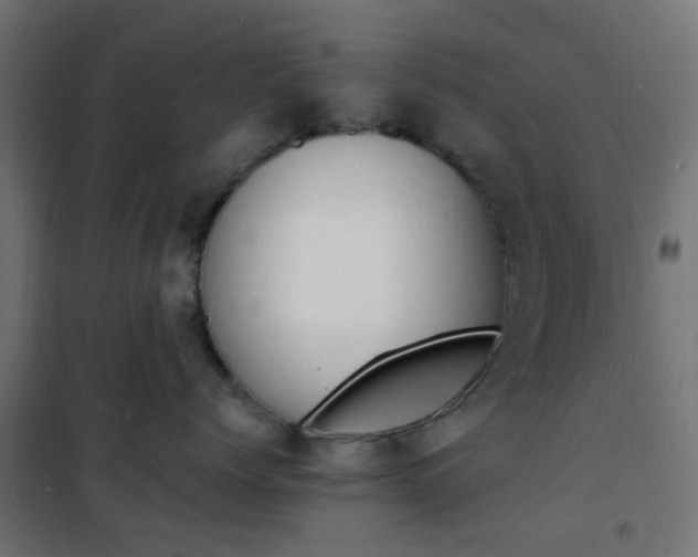 X0000101480768200807071243