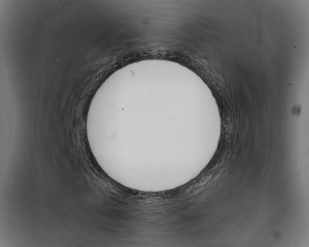 X0000101480769200807071242
