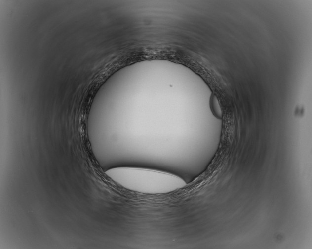 X0000101480770200807071242